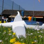 Zwischen den Löwenzahn und Frühlingsblüten wartet auch diese LS-7 auf den Start in den blauen Himmel über der Oberpfalz